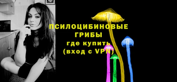 a pvp Алексин