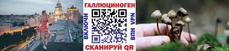 Галлюциногенные грибы Cubensis Бежецк